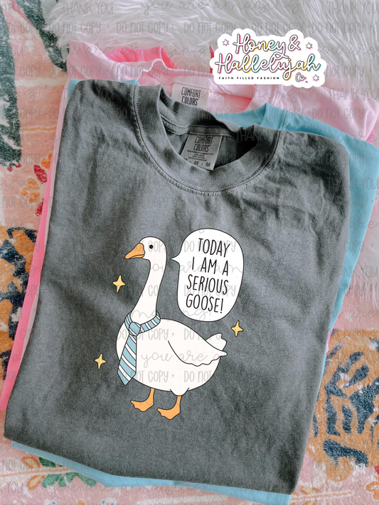Today I Am A Serious Goose